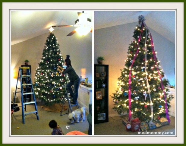 tree Collage1