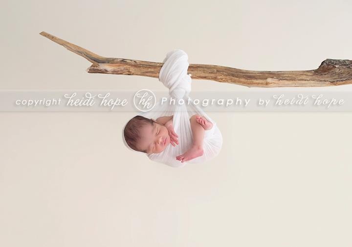 baby c blog preview heidi hope